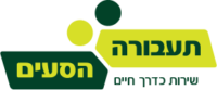 החברות הבנות בקבוצה